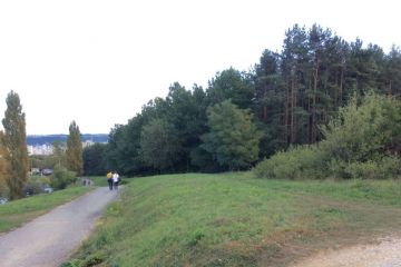 Zábery z Borovicového hája 2016