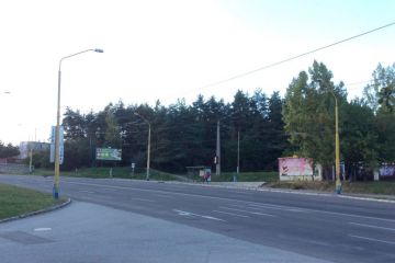 Zábery z Borovicového hája 2016