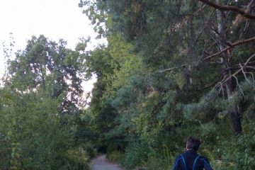 Zábery z Borovicového hája 2016