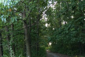 Zábery z Borovicového hája 2016