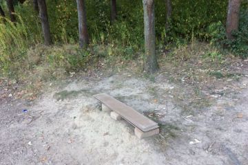 Zábery z Borovicového hája 2016