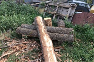 Príprava a osadenie lavičiek 2018