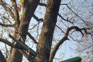 Vandalizmus v Borovicovom haji 2018