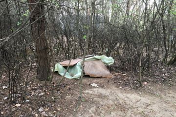 Čistenie lesoparku 2019