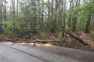 Čistenie lesoparku 2019