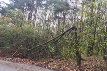 Čistenie lesoparku 2019