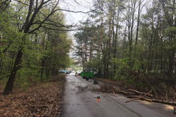 Čistenie lesoparku 2019