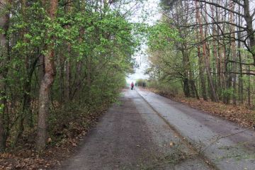 Čistenie lesoparku 2019