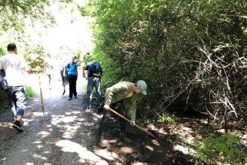 Borovicový háj pri príležitosti Dňa detí 2019