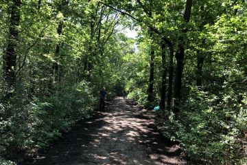 Borovicový háj pri príležitosti Dňa detí 2019