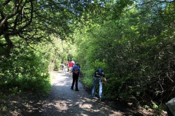 Borovicový háj pri príležitosti Dňa detí 2019