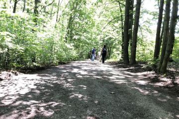 Borovicový háj pri príležitosti Dňa detí 2019