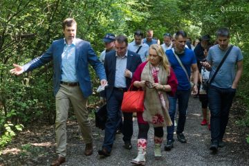 Mesto Košice na obhliadke - mesto má momentálne možnosť kúpiť ďalšiu štvrtinu Borovicového hája 2020