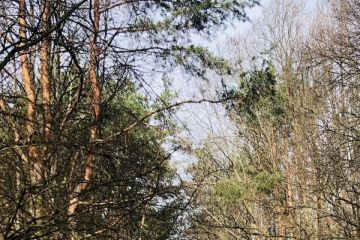 Veľká jarná brigáda 2021