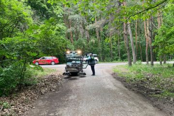 Mesto Košice čistilo Borovicový háj 2021