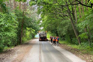 Mesto Košice čistilo Borovicový háj 2021