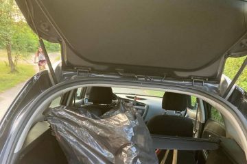 Ráno v Borovicovom háji 2021