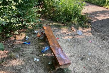 Ráno v Borovicovom háji 2021