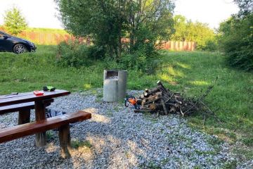 Ráno v Borovicovom háji 2021