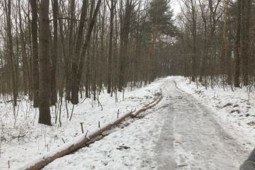 O čosi bezpečnejšie v Borovicovom háji 2022