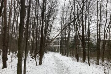 O čosi bezpečnejšie v Borovicovom háji 2022