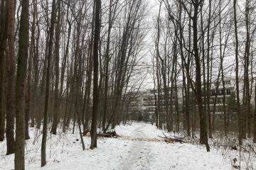 O čosi bezpečnejšie v Borovicovom háji 2022