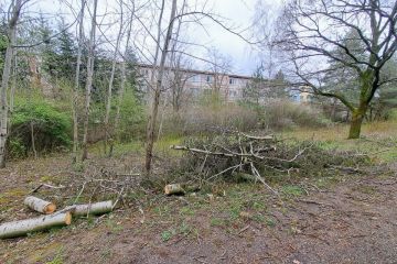 	Pokračujeme v odstraňovaní padnutých stromov 2023