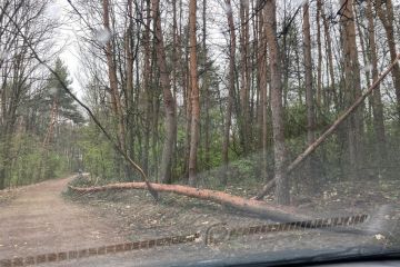 	Pokračujeme v odstraňovaní padnutých stromov 2023