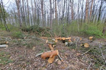 	Pokračujeme v odstraňovaní padnutých stromov 2023