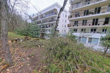 	Pokračujeme v odstraňovaní padnutých stromov 2023