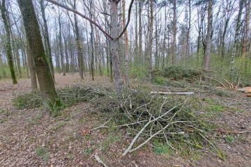 	Pokračujeme v odstraňovaní padnutých stromov 2023