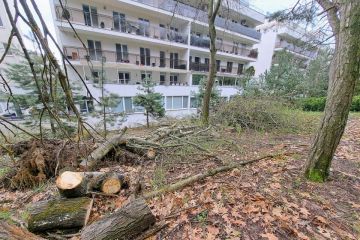 	Pokračujeme v odstraňovaní padnutých stromov 2023