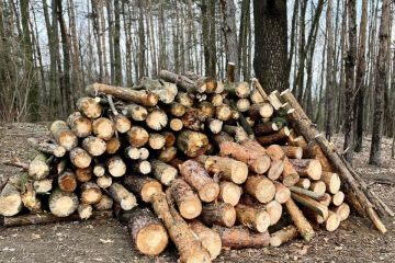 	Pokračujeme v odstraňovaní padnutých stromov 2023