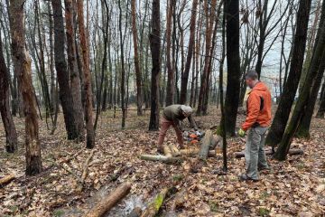 	Pokračujeme v odstraňovaní padnutých stromov 2023