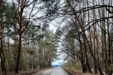 	Pokračujeme v odstraňovaní padnutých stromov 2023