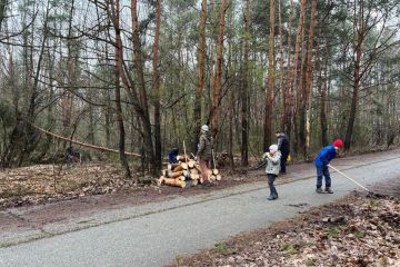 	Pokračujeme v odstraňovaní padnutých stromov 2023