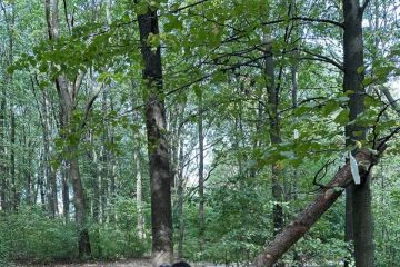 V októbri sme makali 2023