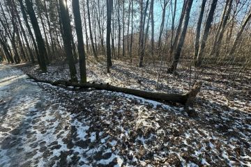 Zima nás nezastaví 2024