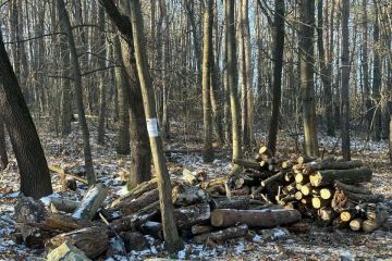 Zima nás nezastaví 2024