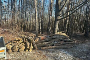 Zima nás nezastaví 2024