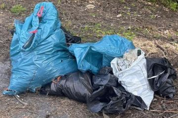 Mladí dobrovoľníci 2024