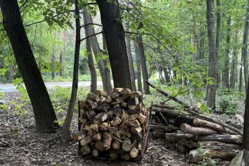 Pravidelná údržba 2024