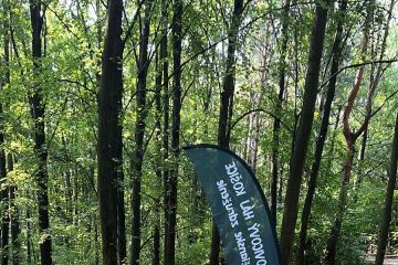 Aj v júli sme pracovali 2024