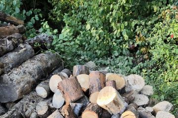 Aj v júli sme pracovali 2024