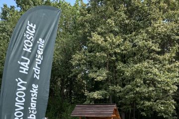 Revitalizácia altánku a iné 2024