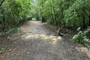 Popadané stromy po daždi 2024