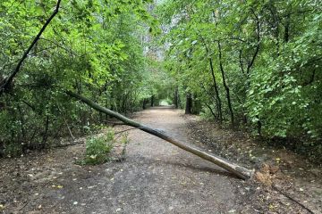 Popadané stromy po daždi 2024