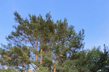 Nová rozprávková lavička 2024