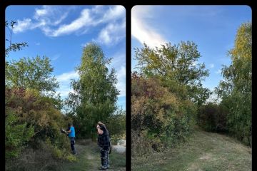 43. Brigáda v Borovicovom Háji 2024