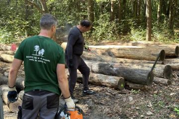 43. Brigáda v Borovicovom Háji 2024